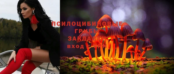 apvp Абинск