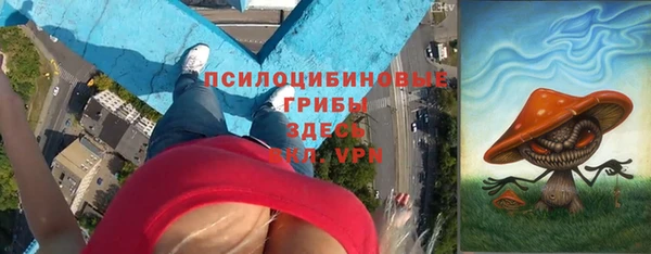 соль ск Абаза