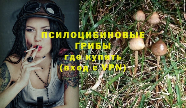 спиды Пересвет