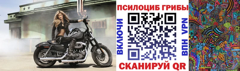 Галлюциногенные грибы мицелий ссылка на мегу зеркало Тайга