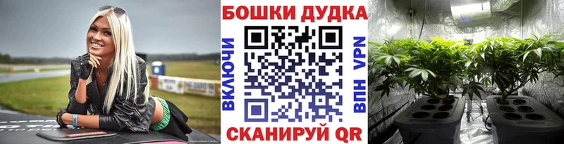 купить наркоту Тайга МАРИХУАНА OG Kush